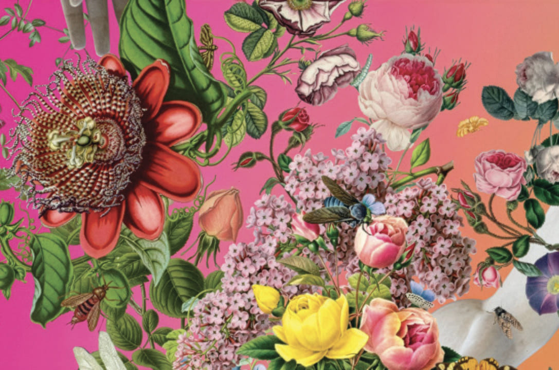 Austin Young.Temple of Flowers /Tempio di Fiori, 2025