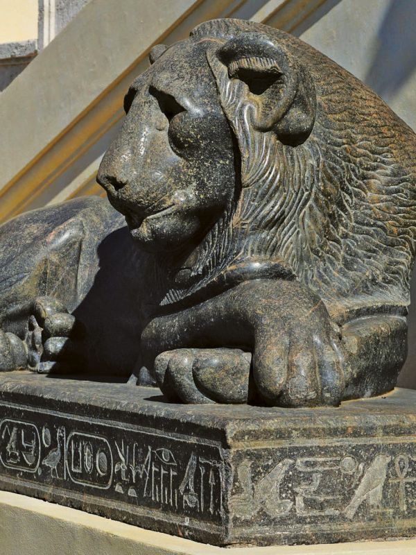 One of the lions in the Vatican Museums