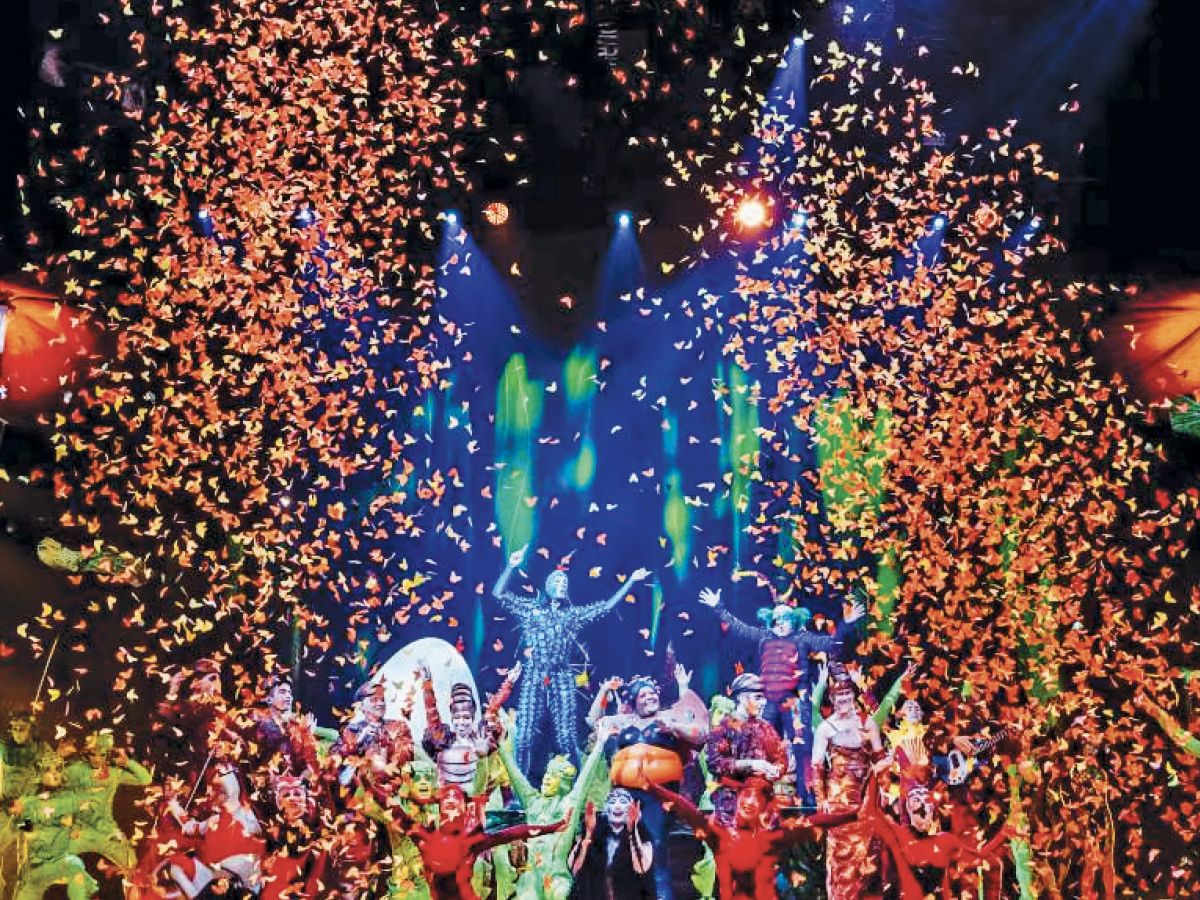 A miniature universe in motion